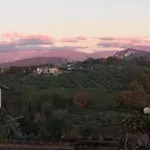 Lattrazionedelgeco 3*