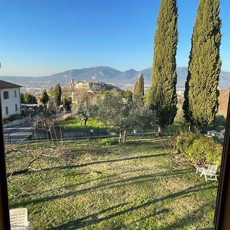 Lattrazionedelgeco Terni